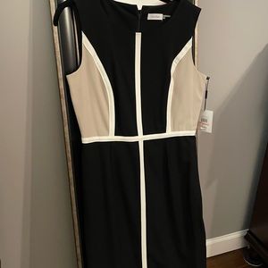 Calvin Klein sheath dress, knee length dress in size 10.